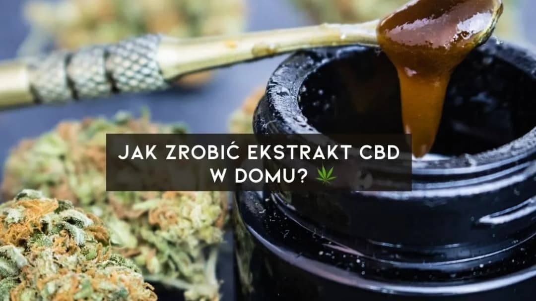 Jak zrobić olej konopny CBD: Prosty przepis z krokami i poradami