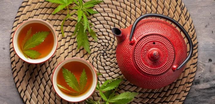 Jak parzyć herbatę konopną, aby cieszyć się jej zdrowotnymi właściwościami?