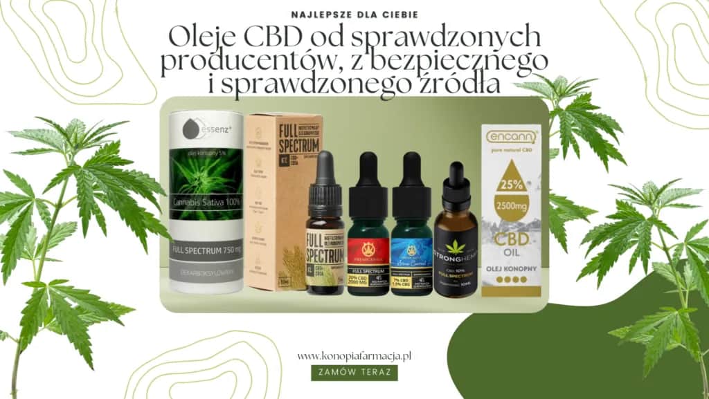 Gdzie można kupić olej konopny? Najlepsze miejsca i cenne wskazówki