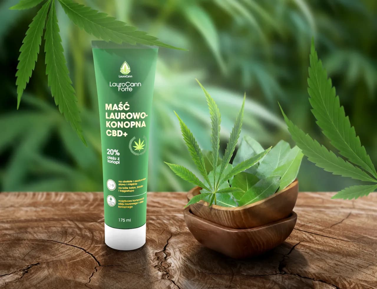 Maść laurowo-konopna na co pomaga? Poznaj jej właściwości i zastosowania