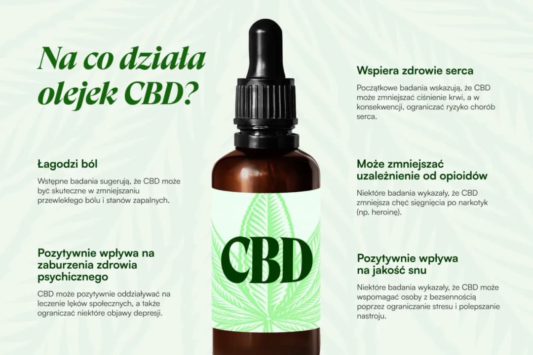 Jaki olej konopny kupić: wybierz najlepsze opcje dla zdrowia
