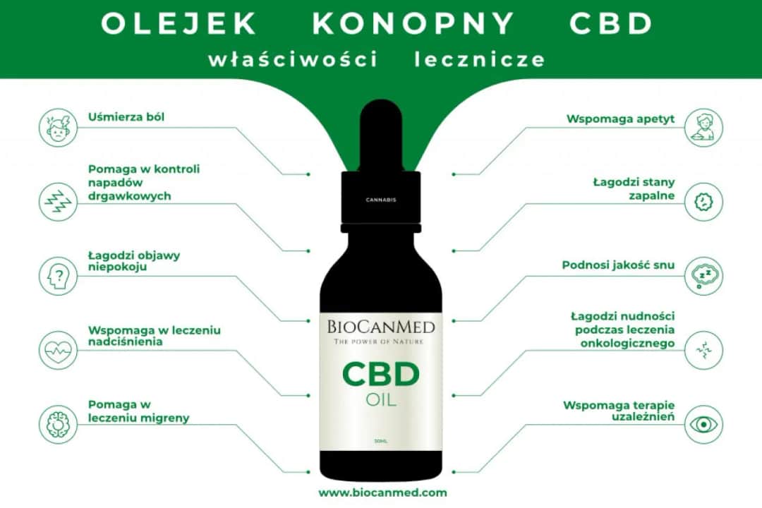 Do czego służy olej konopny? Poznaj jego zdrowotne właściwości i zastosowania.