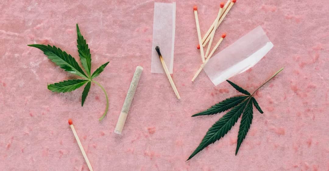 Jak filmy zmieniają postrzeganie medycznej marihuany?