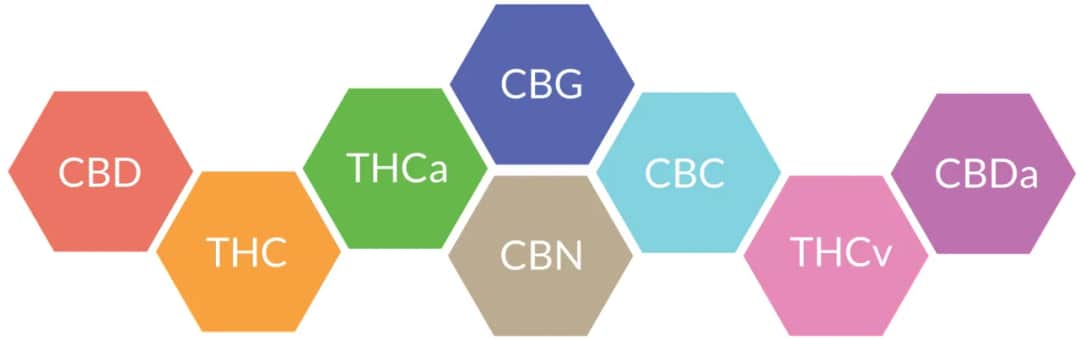 Jak stosować pyłek konopny CBD? Poznaj skuteczne metody i dawkowanie