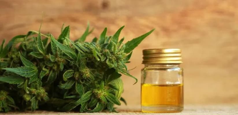 Jak stosować olej konopny na łuszczycę - skuteczne metody i efekty terapeutyczne