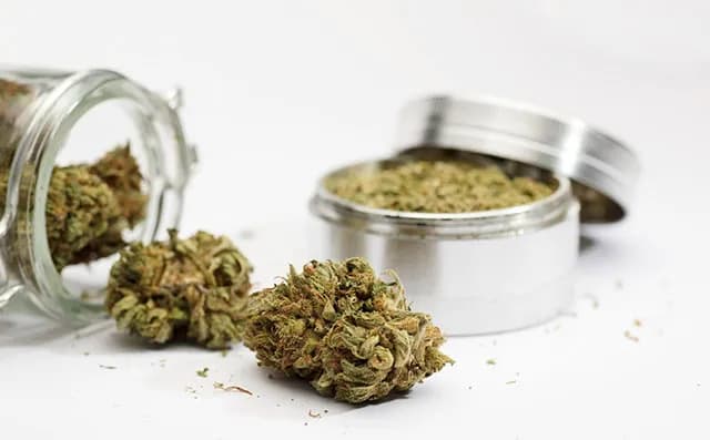 Jak stosować susz konopny dla zdrowia: metody, dawkowanie i korzyści